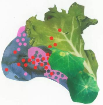出國留學輔導作品