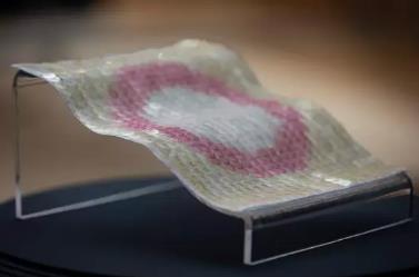 中央圣馬丁畢業(yè)學生作品展