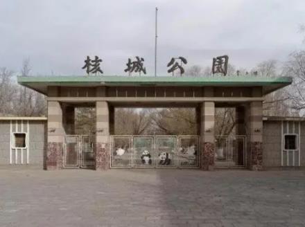 CSM平面設計作品集項目